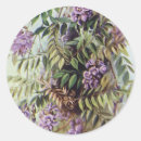 Recherche de botaniste Violet