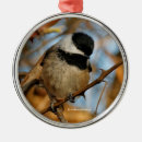 Search for chickadee ornaments Black capped chickadee
