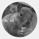 Recherche de squirrel autocollants Sauvage
