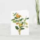 Search for partridge christmas cards Whimsical