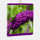 Search for cricket ornaments Katydid