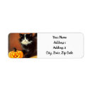 Search for black kittens return address labels Cute