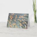 Search for rhythme cards Nature