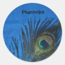Search for blue peafowl stickers Peacock