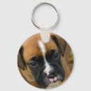 Recherche de boxer porteclés Chiot