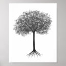 Recherche de arbre avec racines posters Mur