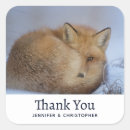 Search for curling stickers Cute