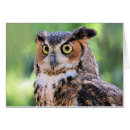 Recherche de grand hibou à cornes cartes postales Portrait