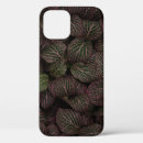 Search for flower petal iphone cases Green