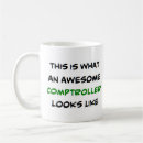 Search for comptrol Accountant