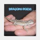 Search for bearded dragon photography Pets