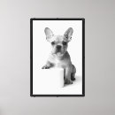 Search for french bulldog decor Cute dog