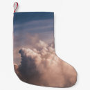 Search for ski christmas stockings White