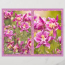 Search for sews photography Nature