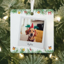 Search for family with dog ornaments Modern