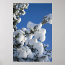 Search for cold weather art Sky