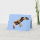 Search for red kite cards Nature