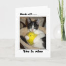 Search for funny cat easter cards Cats