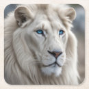 Recherche de yeux bleus dessous de verres Lion
