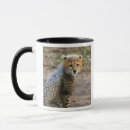 Recherche de masai mara tasses Joe restuccia iii