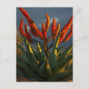 Search for alo postcards Flower