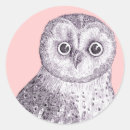 Recherche de observation autocollants Chouette