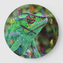 Recherche de caméléon horloges Lézard