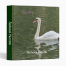 Search for schwan Animal