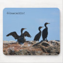 Search for seabird mousepads Birds