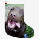 Search for chocolate christmas stockings Pet