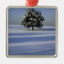 Search for landscapes ornaments Trees