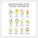 Search for native plant stickers Wildflowers