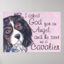 Recherche de cavalier posters Tricolore