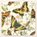 Recherche de insecte dessous de verres Ailes