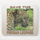 Search for endangered electronics Cat