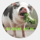 Search for eat me stickers Vegetarian