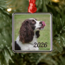 Search for spaniel ornaments Dog lovers
