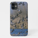 Search for birdwatcher iphone cases Birding