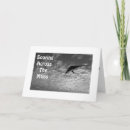 Search for hang gliding cards Photography