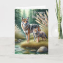 Search for coyote Birthday