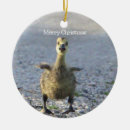 Search for goose ornaments Animals