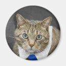 Recherche de minou mignon magnets De