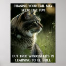 Search for motivational cat posters Quote