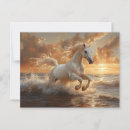 Recherche de galopant cartes postales Coucher de soleil