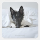 Search for bed stickers Vertical