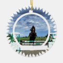 Search for jumping horse ornaments Equestrian