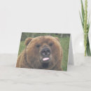 Search for grizzly bear cards Wildlife