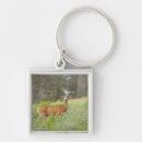 Search for deer hunting keychains Nature