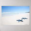 Recherche de outdoor scenes posters Wildlife