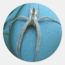 Recherche de spider autocollants Webs